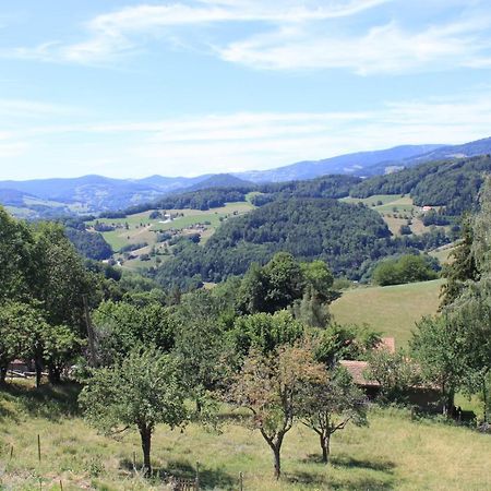 Bed and Breakfast Le Nid Du Kaloui Freland Екстер'єр фото