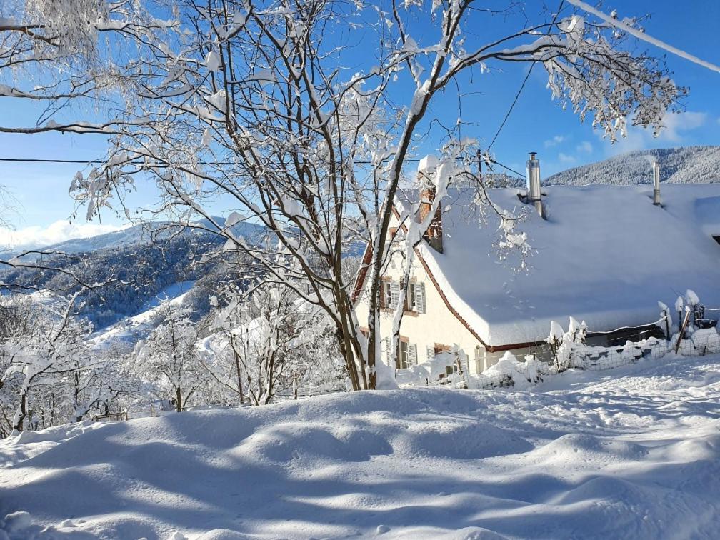 Bed and Breakfast Le Nid Du Kaloui Freland Екстер'єр фото