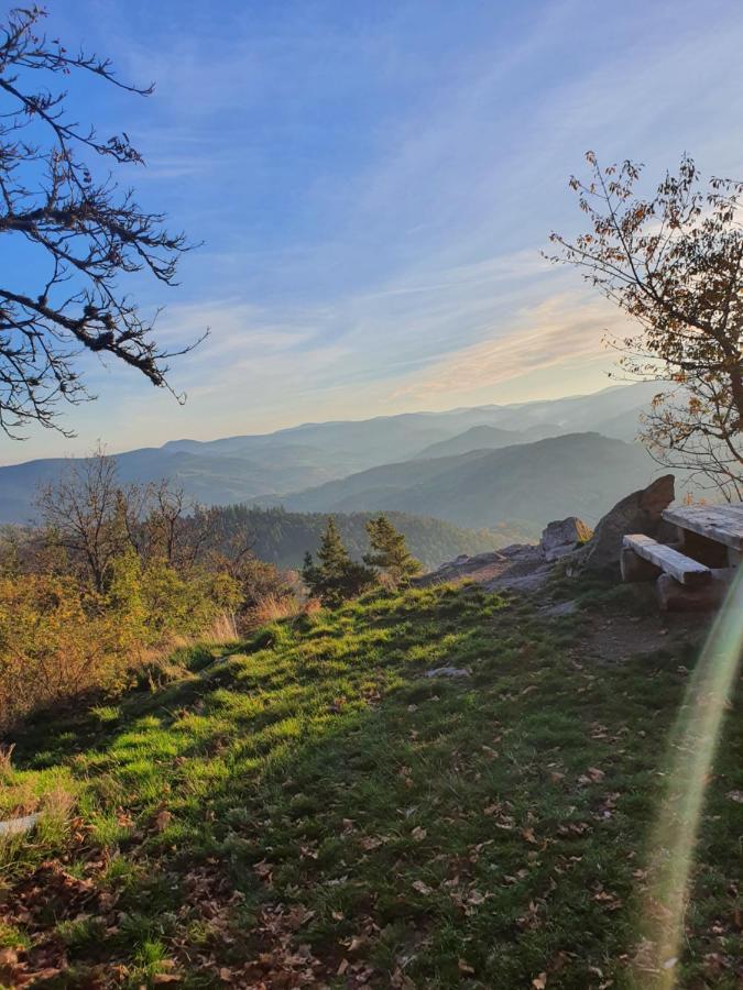 Bed and Breakfast Le Nid Du Kaloui Freland Екстер'єр фото