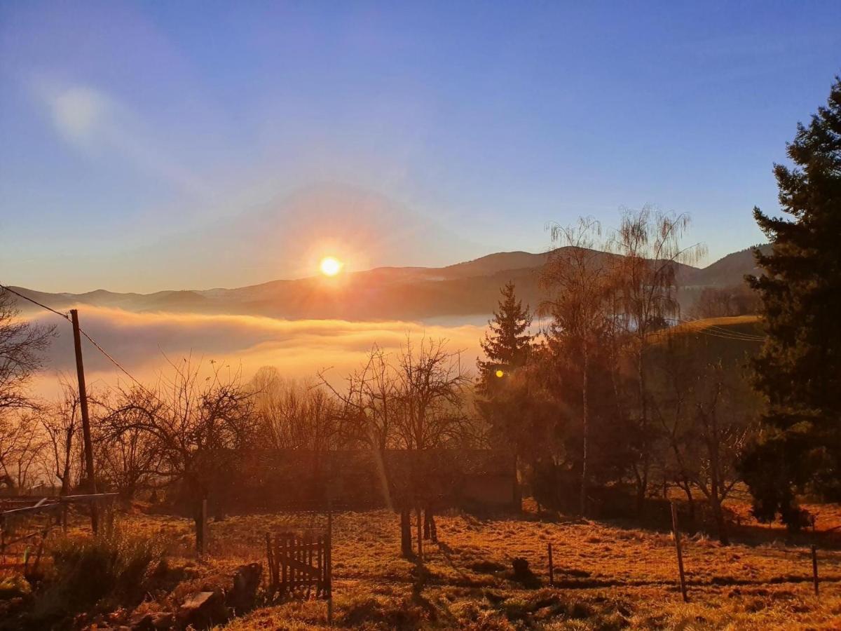 Bed and Breakfast Le Nid Du Kaloui Freland Екстер'єр фото