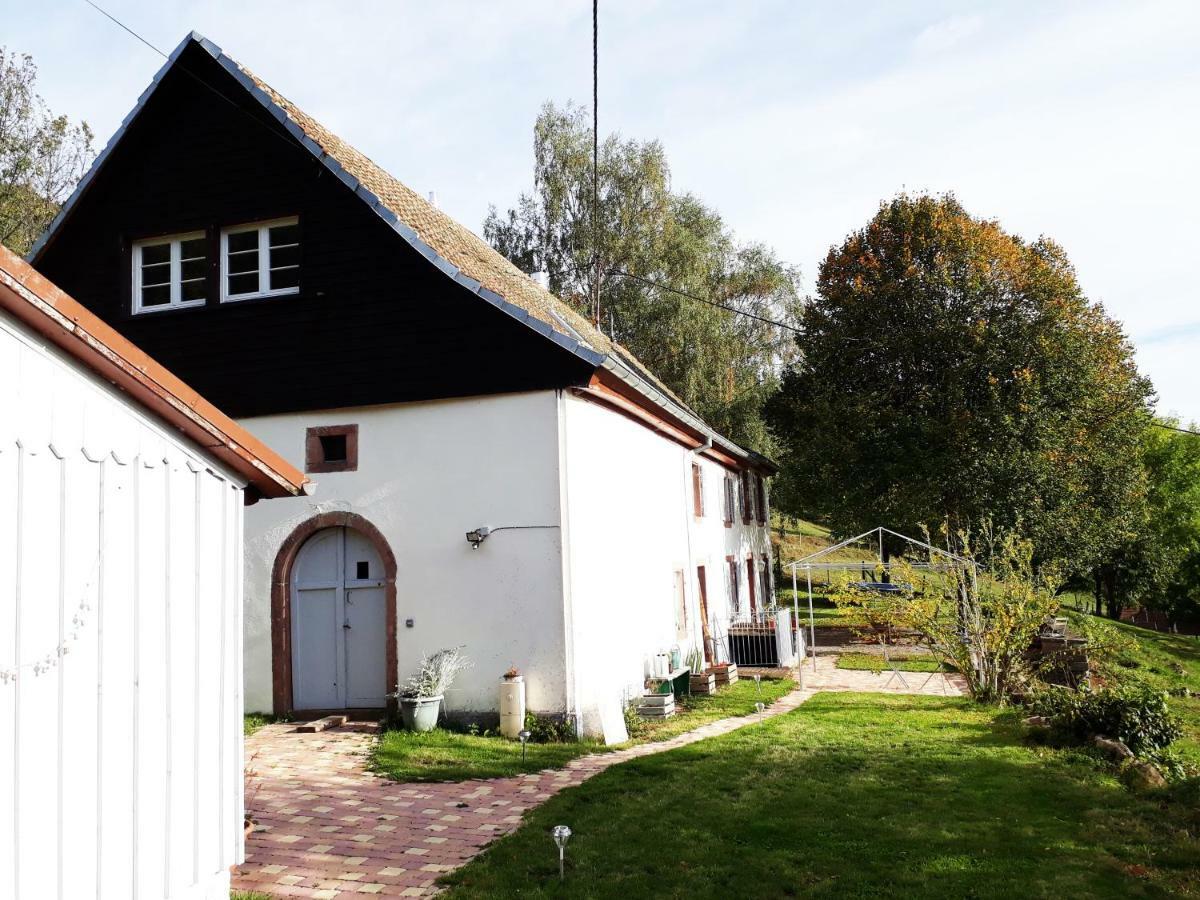 Bed and Breakfast Le Nid Du Kaloui Freland Екстер'єр фото