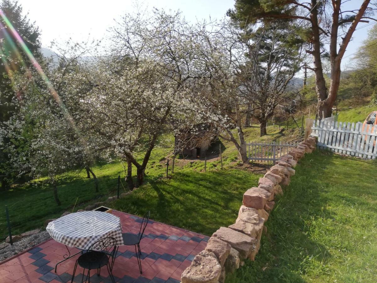 Bed and Breakfast Le Nid Du Kaloui Freland Екстер'єр фото